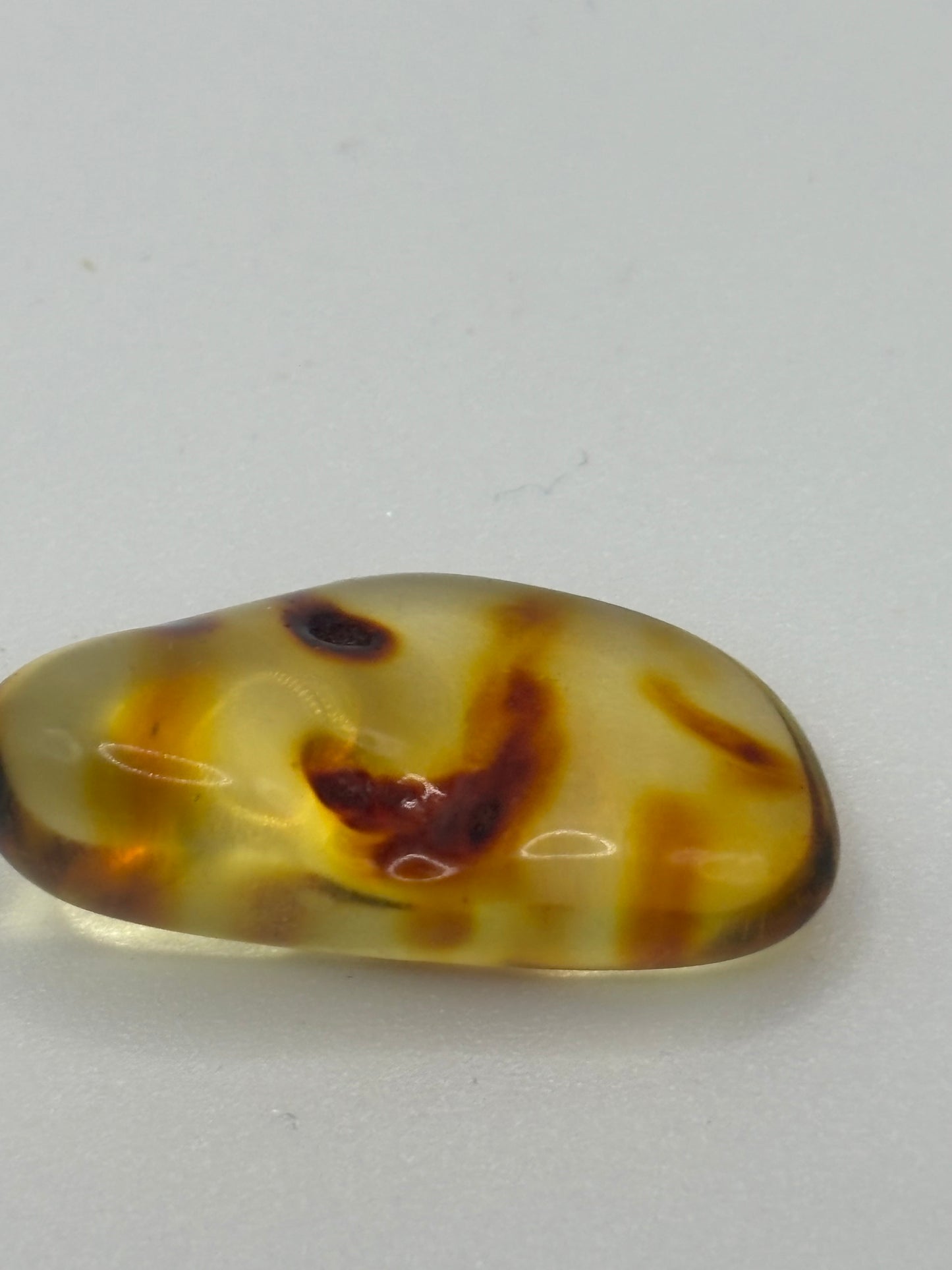 Baltic Amber - Large