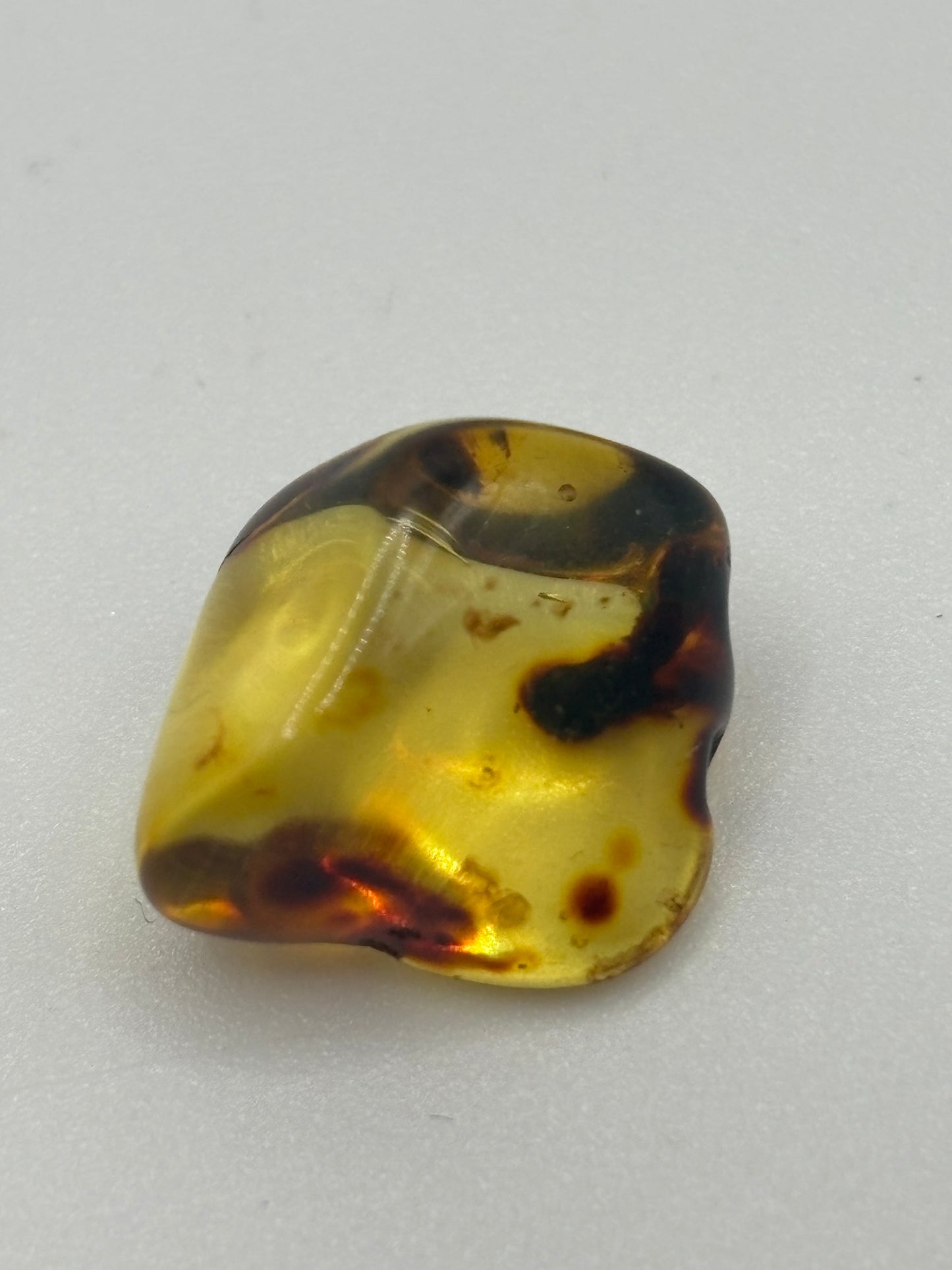 Baltic Amber - Large