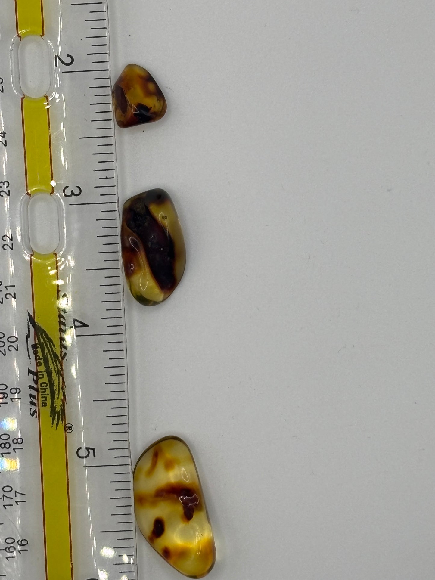 Baltic Amber - Large