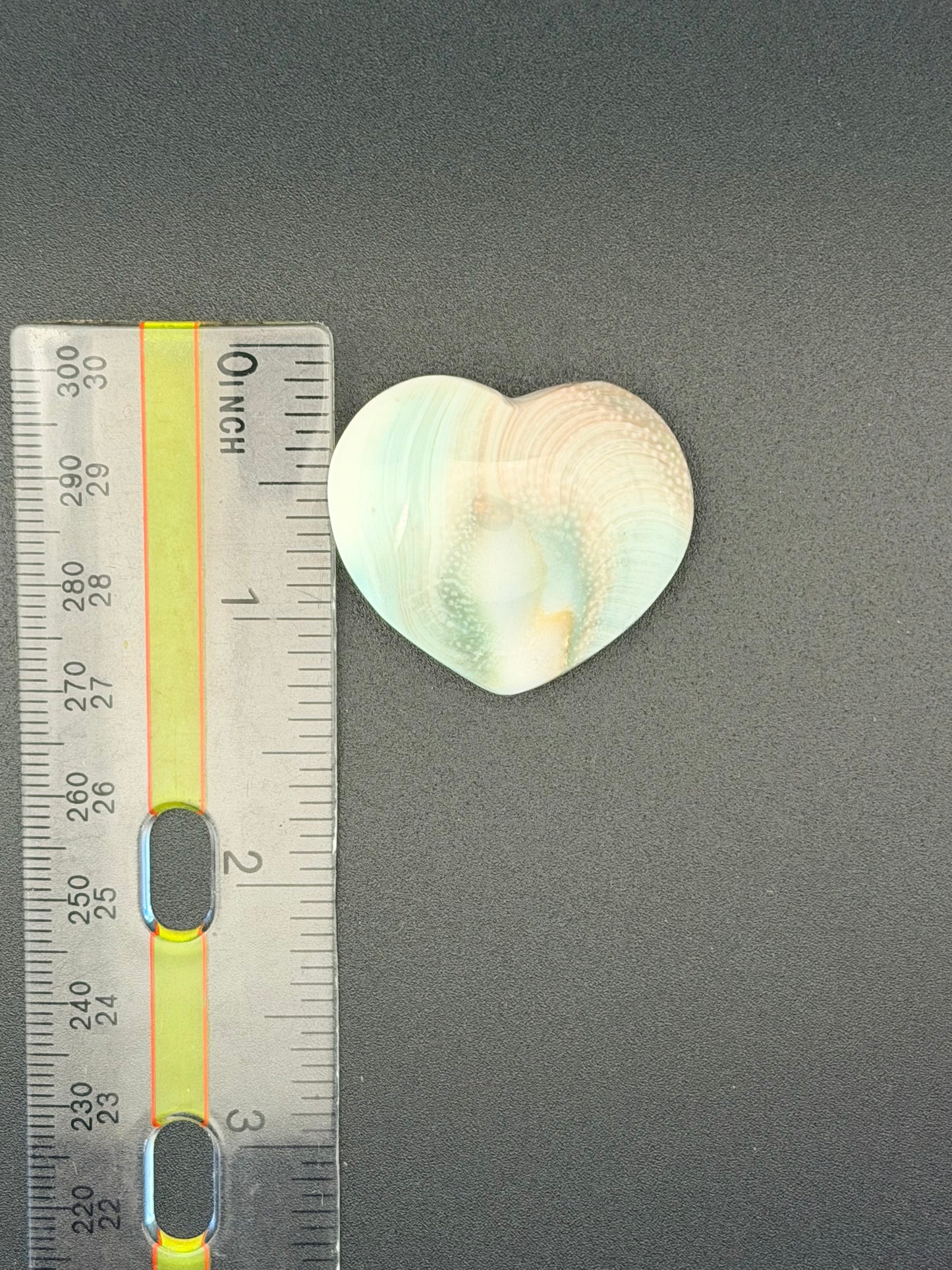 Shiva Shell Heart – Protection, Intuition & Divine Connection