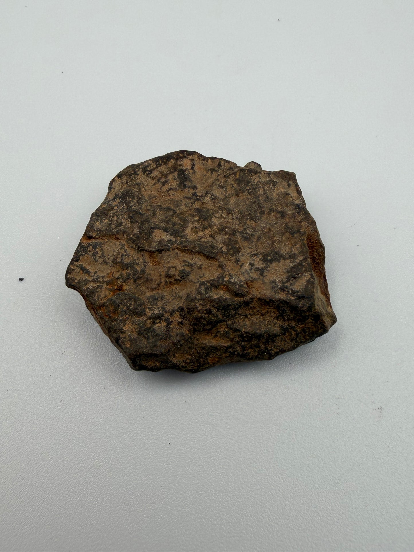 Meteorite NWA 869 for cosmic connection & spiritual insight (from Morocco)