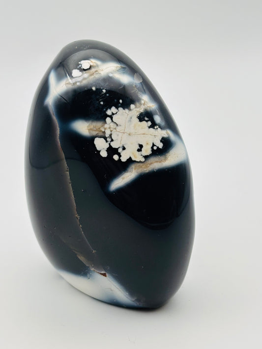 Blue Orca - Freeform