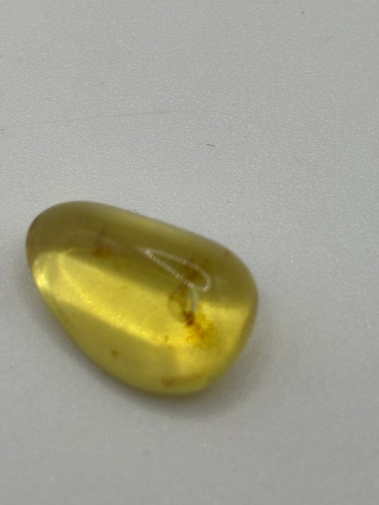Baltic Amber - Large