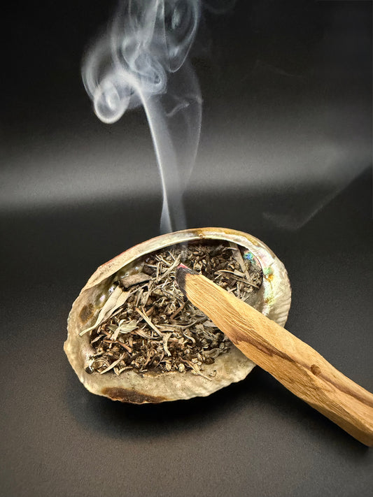 Palo Santo – Sacred Cleansing Wood