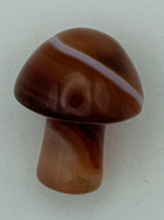 Carnelian Mushroom – Growth, Courage & Creativity
