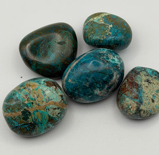 Chrysocolla - Medium Tumbled