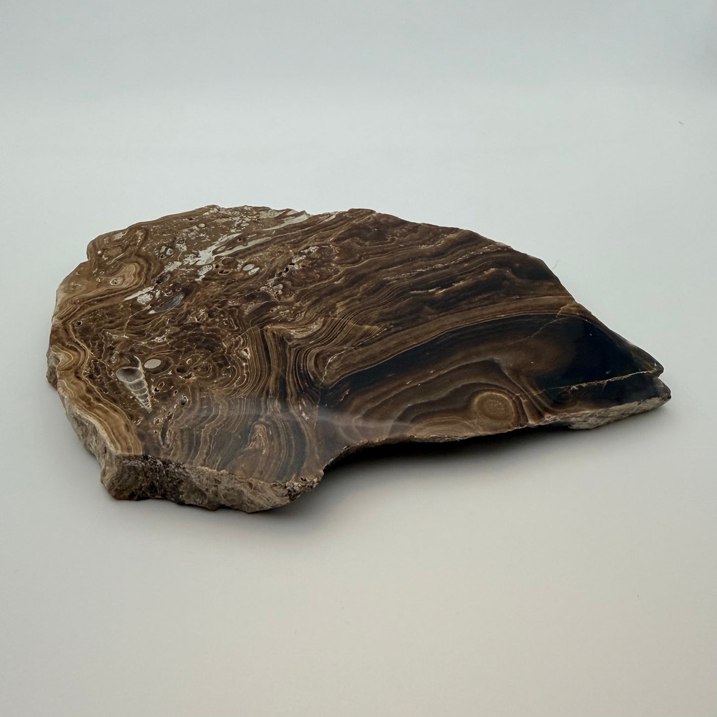 Chocolate Calcite Slice – Grounding, Emotional Balance & Motivation