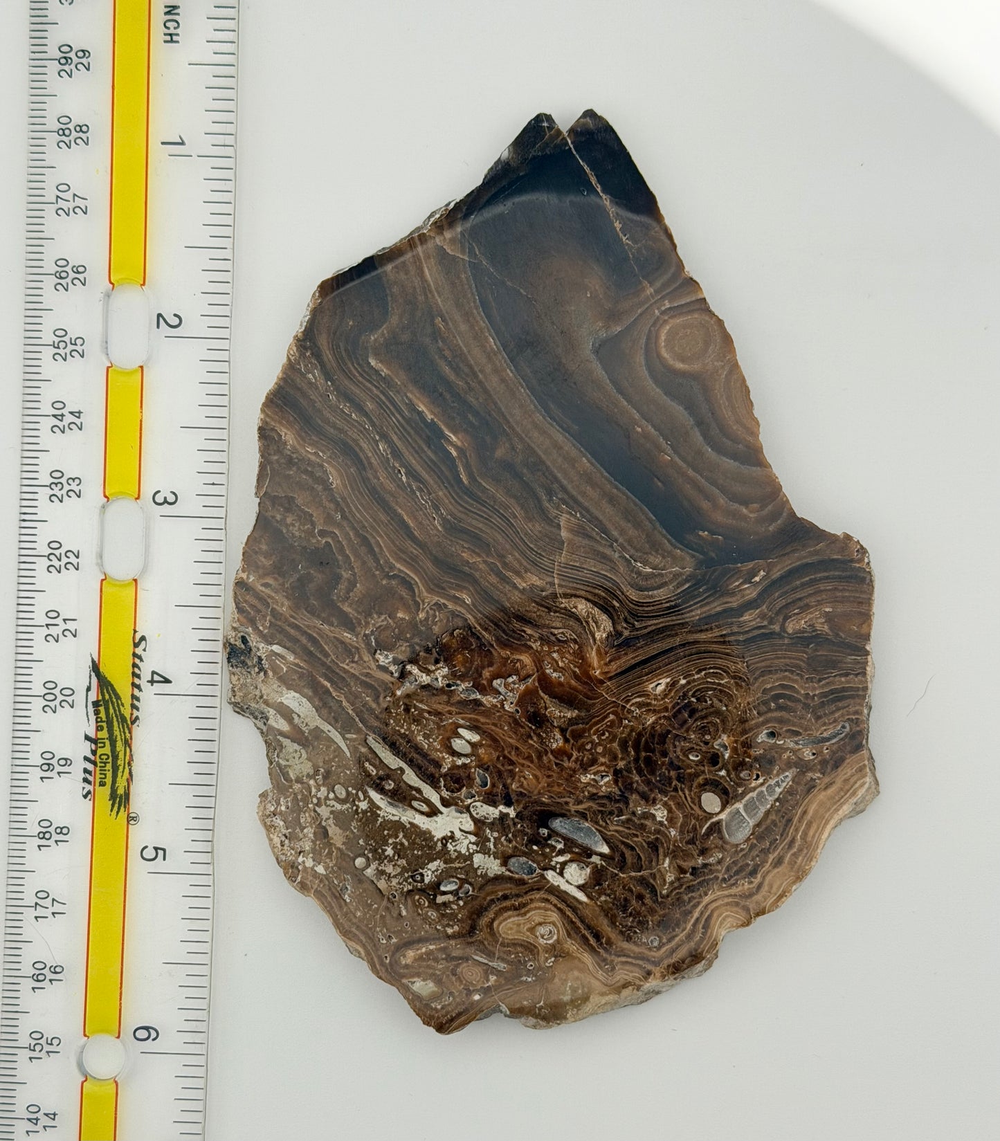 Chocolate Calcite Slice – Grounding, Emotional Balance & Motivation