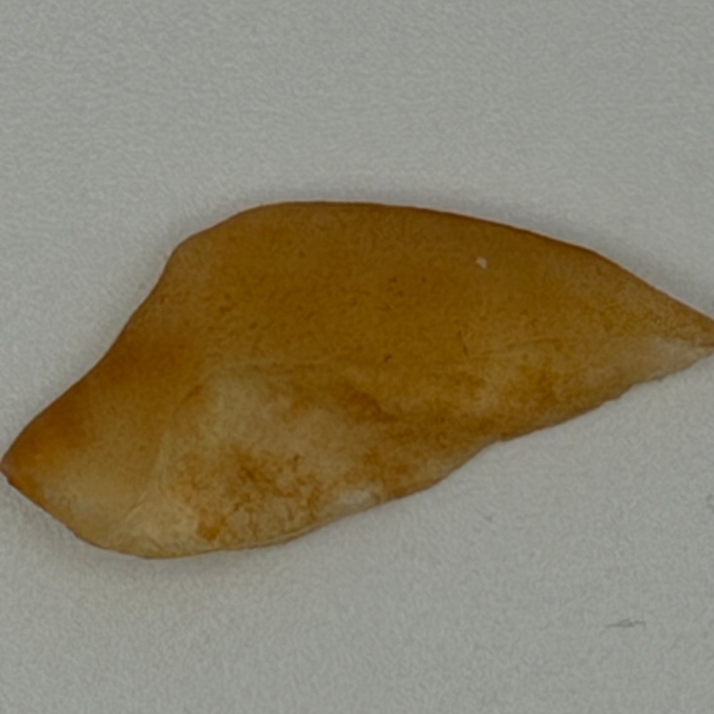 Libyan Gold Tektite for out-of-this-world wisdom