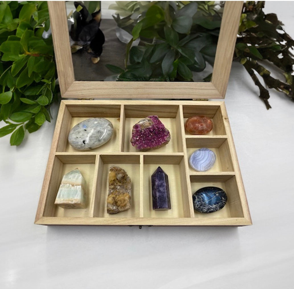 Specimen Display Box – Store & Showcase Your Treasures