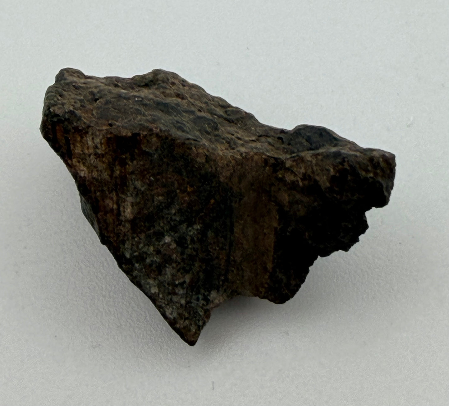 Meteorite NWA 869  for cosmic connection & spiritual insight (from Morocco)