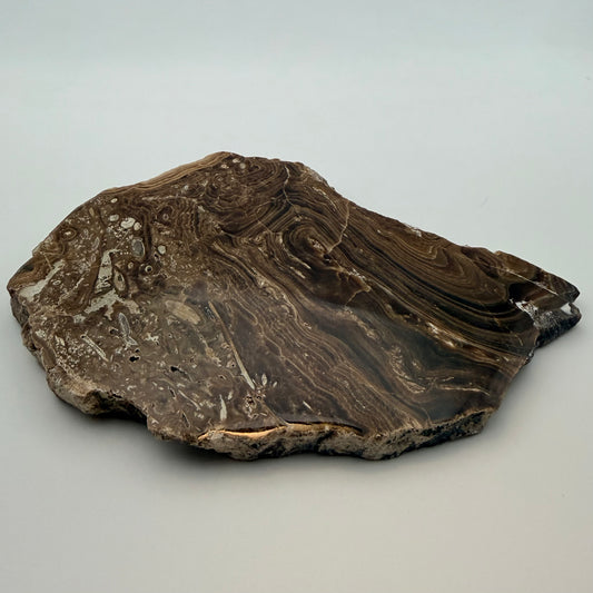 Chocolate Calcite Slice – Grounding, Emotional Balance & Motivation