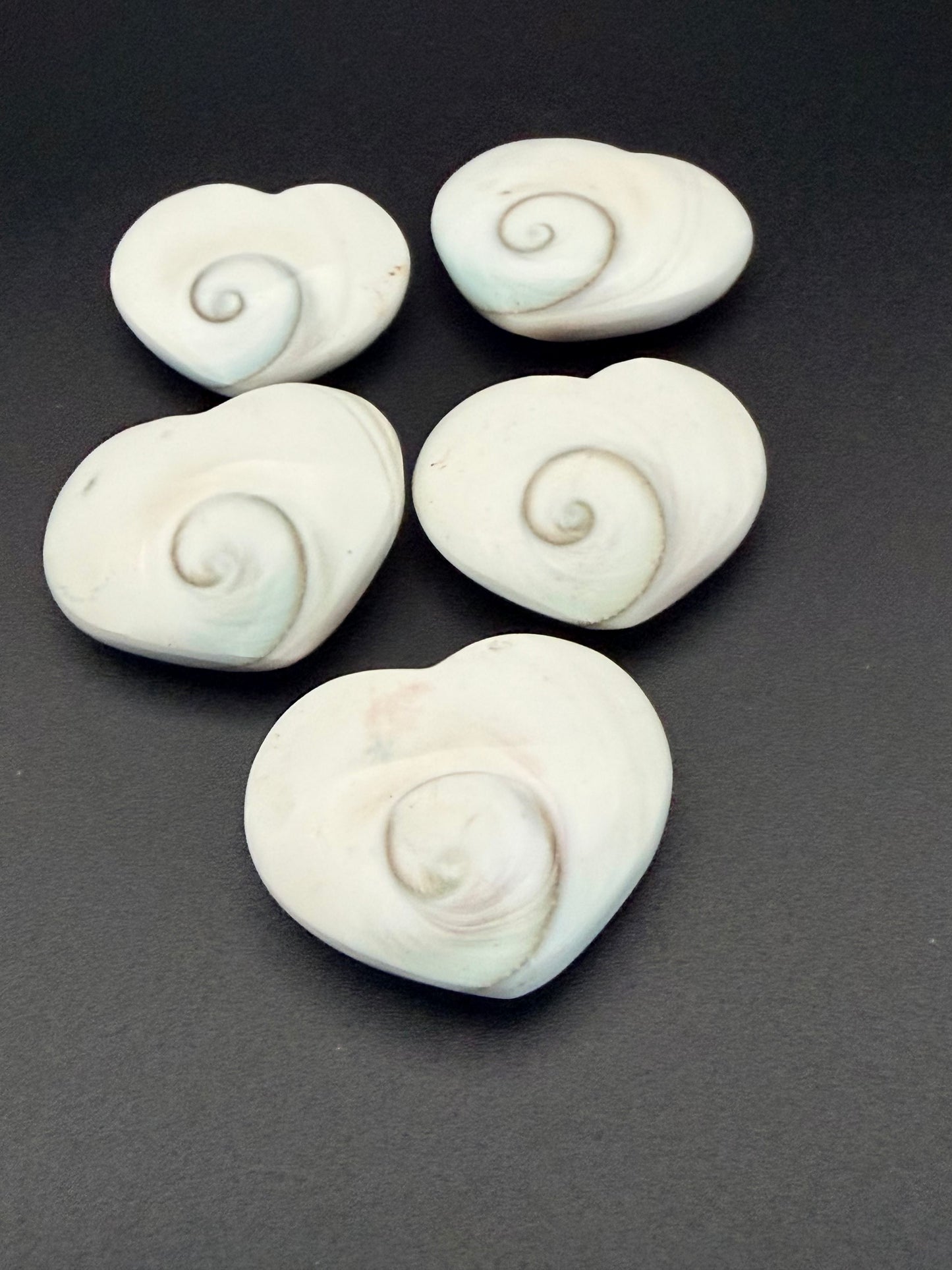 Shiva Shell Heart – Protection, Intuition & Divine Connection