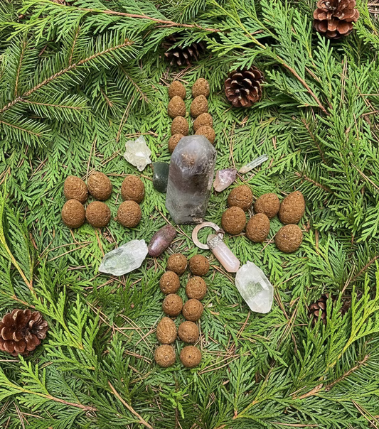 Intentional Incense by Christine – Evergreen Christmas Tree Cones (Can also be used with a backflow burner)