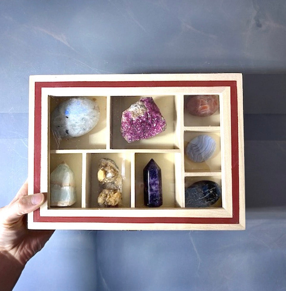 Specimen Display Box – Store & Showcase Your Treasures