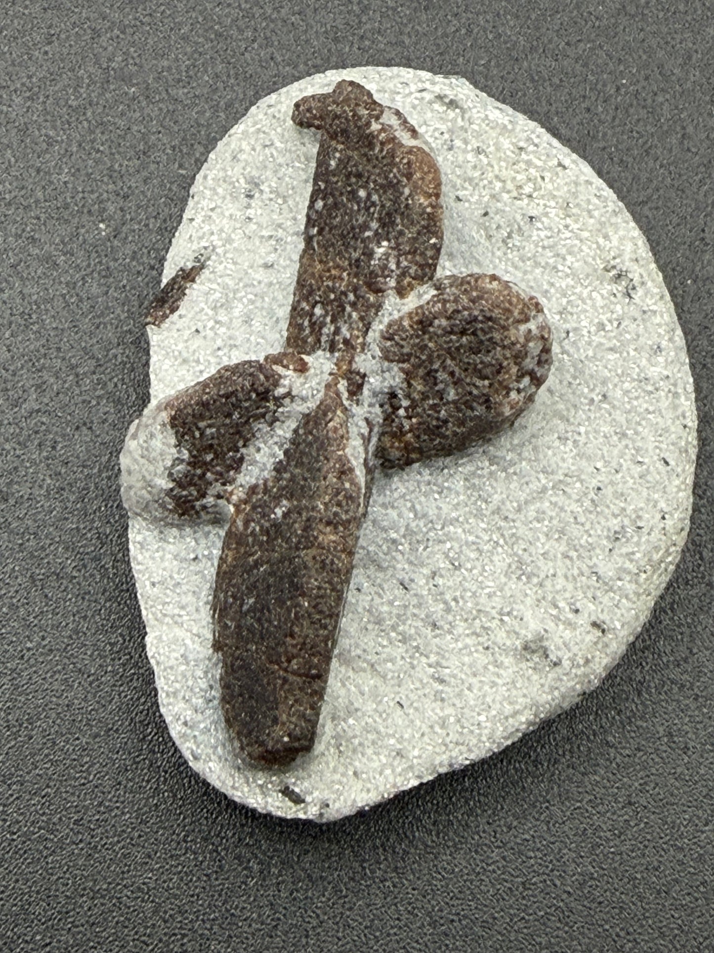 Staurolite – Faerie Cross Stone for Protection, Vision & Magical Connection