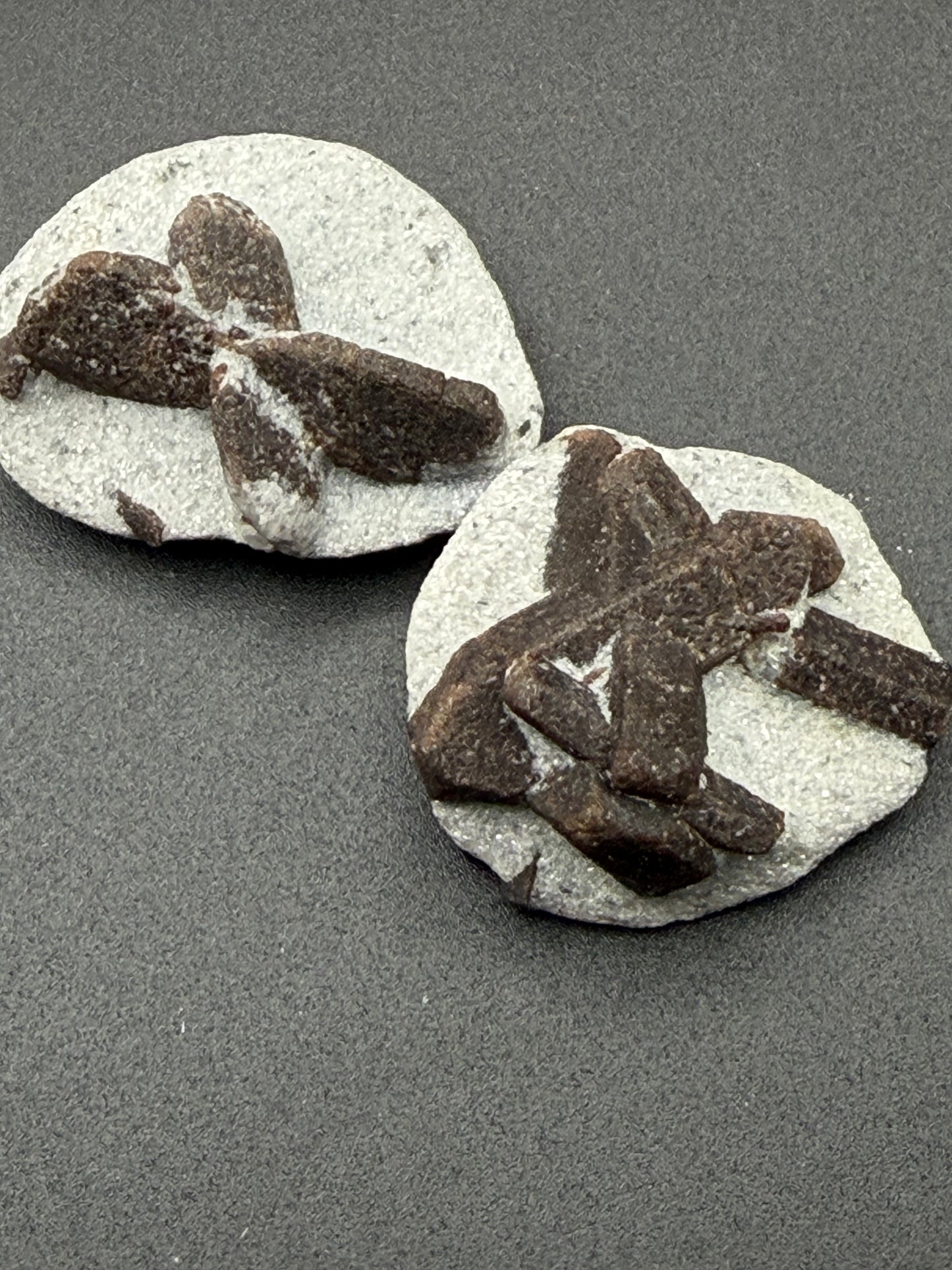 Staurolite – Faerie Cross Stone for Protection, Vision & Magical Connection