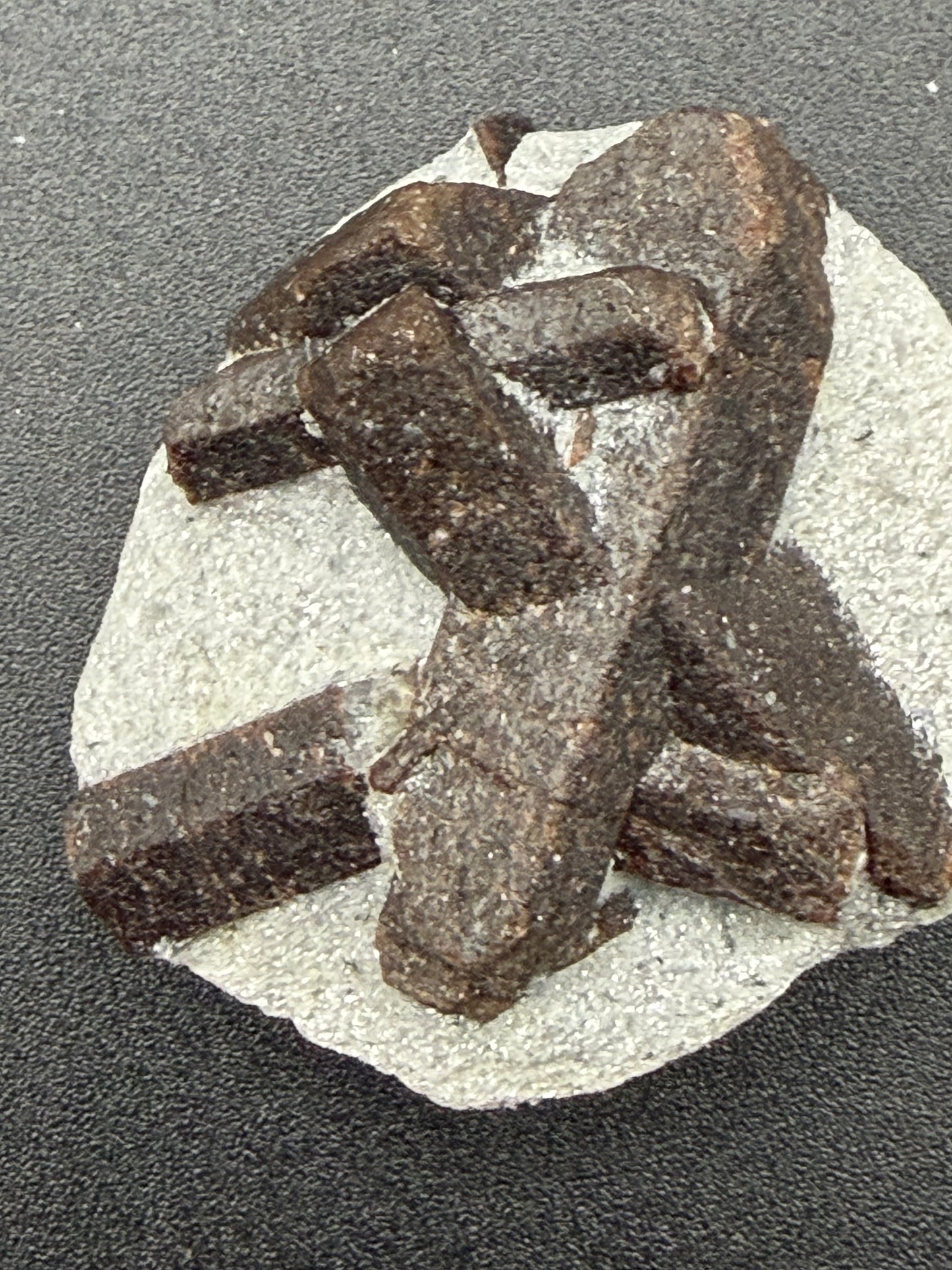 Staurolite – Faerie Cross Stone for Protection, Vision & Magical Connection