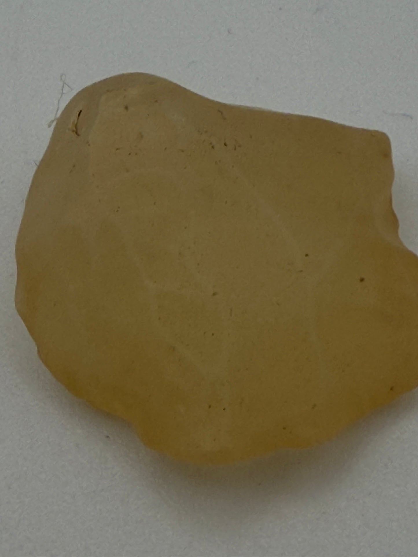 Libyan Gold Tektite for out-of-this-world wisdom